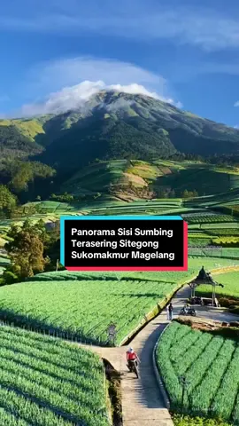 Seindah ini 360 derajat panorama sisi sumbing terasering sitegong nampan sukomakmur magelang 🌿❤️😍#sisisumbing #gunungsumbing #wisatamagelang #magelangexplore #lagujawa 