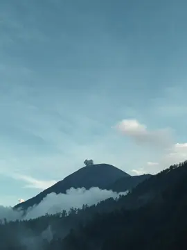 2026 mari menjelajahi bumi lebih luas lagi, contohnya  1. Panjangnya argopuro 2. Mistisnya arjuno  3. Gagahnya agung 4. Ekstreme nya raung 5. Indahnya rinjani  6. Jauhnya kerinci  #pendakipemula #fyp #pendakigunung 