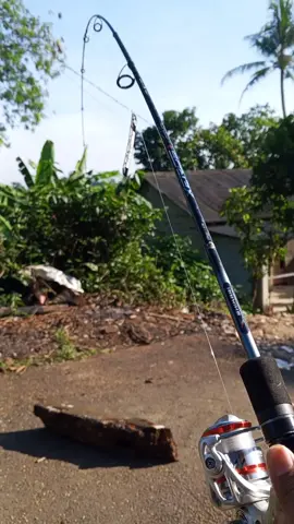 test kelenturan dan kekuatan joran shikari terbaru yaitu shikari XEROS 7-15lb,🔥🔥 #rekomendasi #joranpancing #joranshikari #berandatiktok #fyppppppppppppppppppppppp 