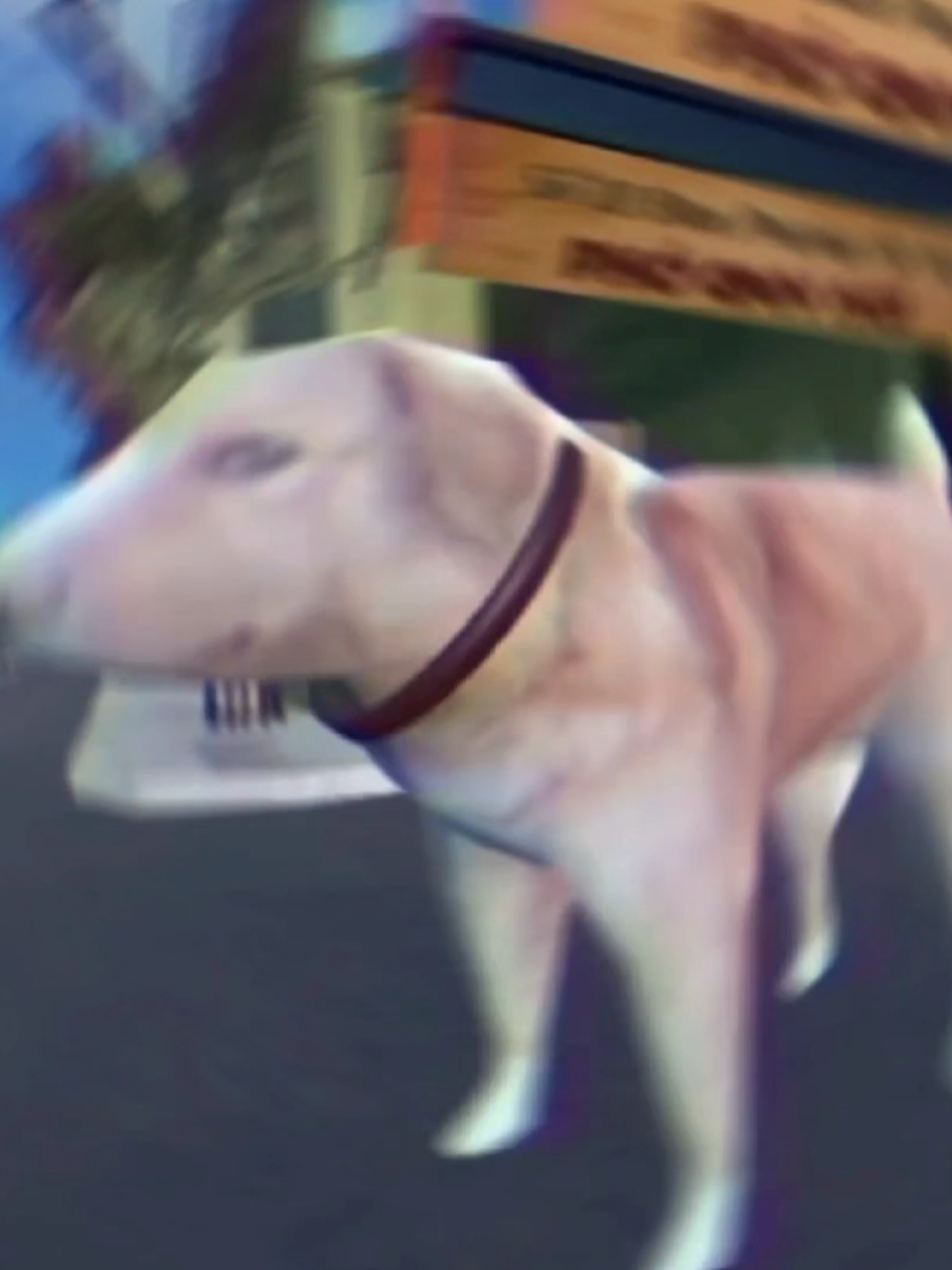 XEM THÊM VIDEO Ở DU TÚP CỦA MÌNH #mandk #cậuvàng #brotherhaisphorestaurant #phởanhhai #gameviệtnam