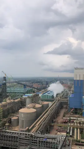 Welcome to Sungai Baung the largest factory in Asia  #okipulpandpaper #sungaibaung 