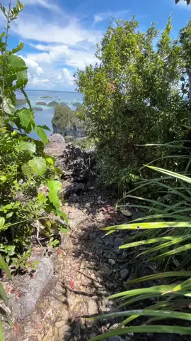 Raja Ampat lebih gacor ketua 🧠🫀😅 #rajaampat #puncakarfat 