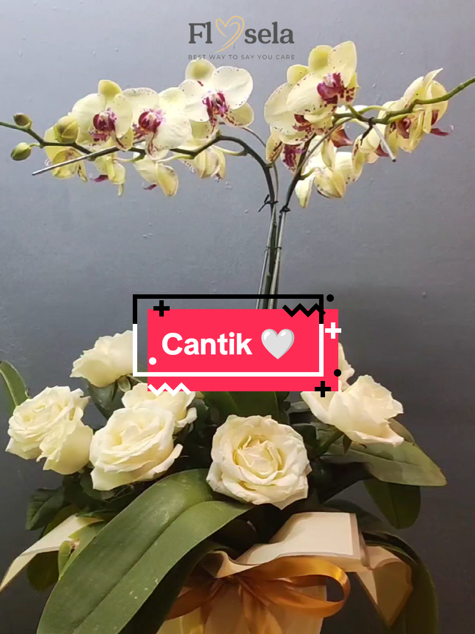Cantiknya triple! Bunga cantik, lagu cantik, yang nerima paling cantik 🥰  #fyp #bungameja #bungaanggrek #floristsemarang #CapCut 