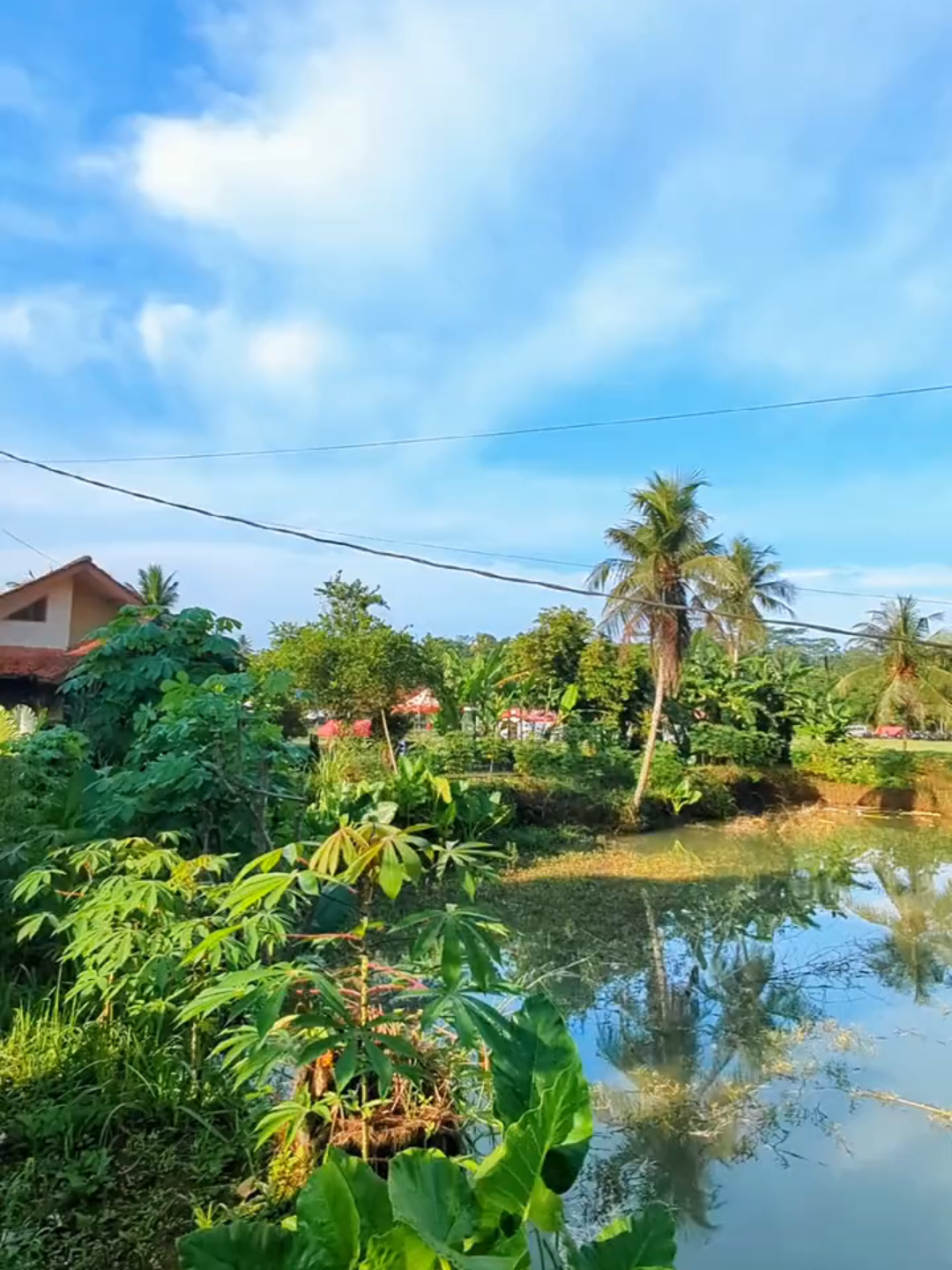 Original video by @zoomie77 📱 Google Pixel 7 Pro  🎥 Cinematic vidio @nalwavee  🔧 Cocok buat Story, Prank, Kata-kata  📥 Follow buat stok video original tiap hari #xyzbca #pixel7pro #fypppppppppppppp #mentahanvideo #mentahan