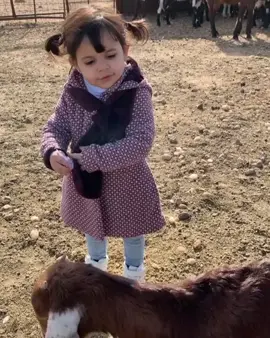 # بسم الله ما شاء الله عليك مت ضحك يوم قالت قال 😂😂😂😂