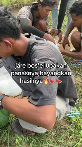 👌#petanimuda #petaniindonesia🇮🇩🇮🇩🇮🇩🌿🌿 #petanisemangka🍉🍉 #xybca #fyp 