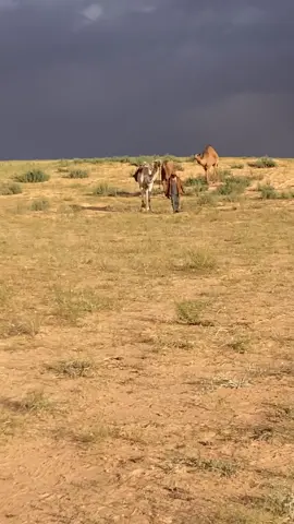 من ارشيف ربيع شواشات ❤️