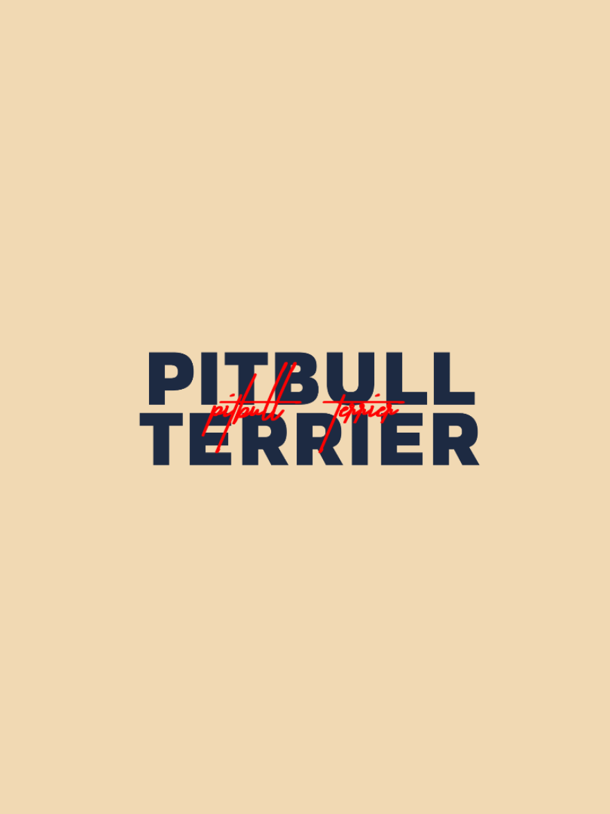 pitbull terrier >> #aesthetic #lyrics #fyp 