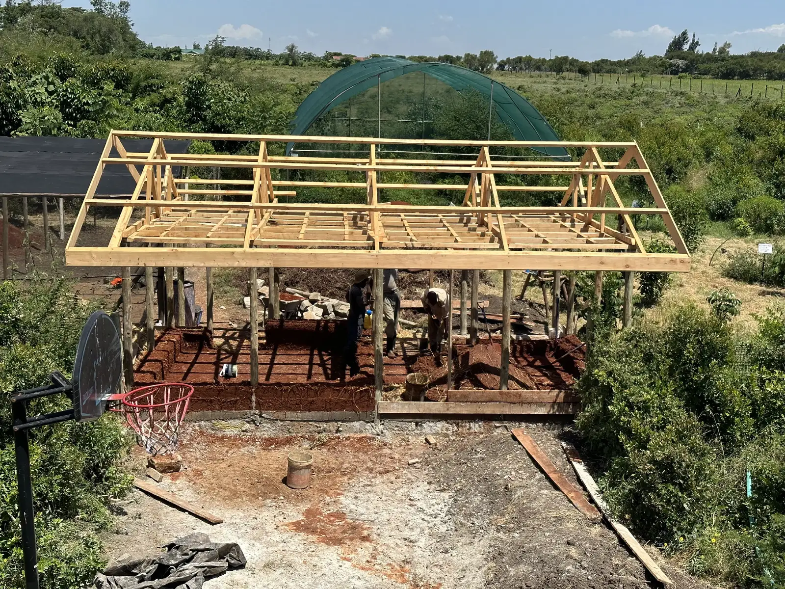 Ever thought you could build a home straight from the earth beneath your feet? 🏠 At the Miti Museum, we made it happen with cob-houses made from clay, sand, straw and water! These buildings have become eco-cottages, learning spaces, and wellness retreats. 💚 Sustainable. Affordable. Beautiful. And totally earth-friendly. ♻️ #mitialliance #mitimuseum #cobhouse #fyp #tiktokkenya  @MlangoFarm 