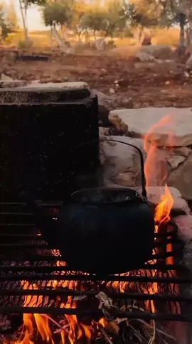 #الأردن_اربد__اللواء_الكوره_كفرابيل #فرقه_كفرجايز_الشعبيه #ترندات_تيك_توك #اكسبلورexplore #فلوقاتي_اللطيفة☁️🌱 #تصويري_احترافي_الاجواء👌🏻🕊😴 #مناظر_طبيعية #المملكه_الاردنيه_الهاشميه🇯🇴 #شعب_الصيني_ماله_حل😂😂 