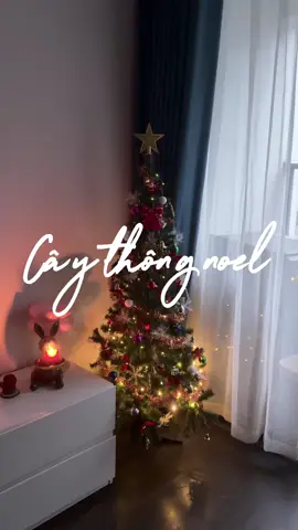 Đừng lăn tăn nữa mà sắm liền cây thông về decor cho mua giáng sinh sắp tới thôi #vuonthong #noel #giangsinh2025 #caythongnoel #caythong 