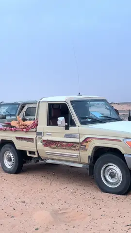 حي شوفف الشتاء ✋🏻. #explore #اكسبلور #وادي_الدواسر #الجوف_مارب #الشتاء 