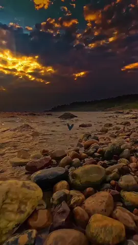 ✋️❤️‍🩹💔#💔🥀 #🥀🖤 #جورج_وسوف_🔚ابو_وديع_سلطان_الطرب👑 