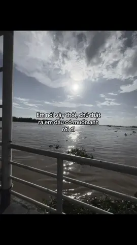 xin anh ở lại #xuhuong 