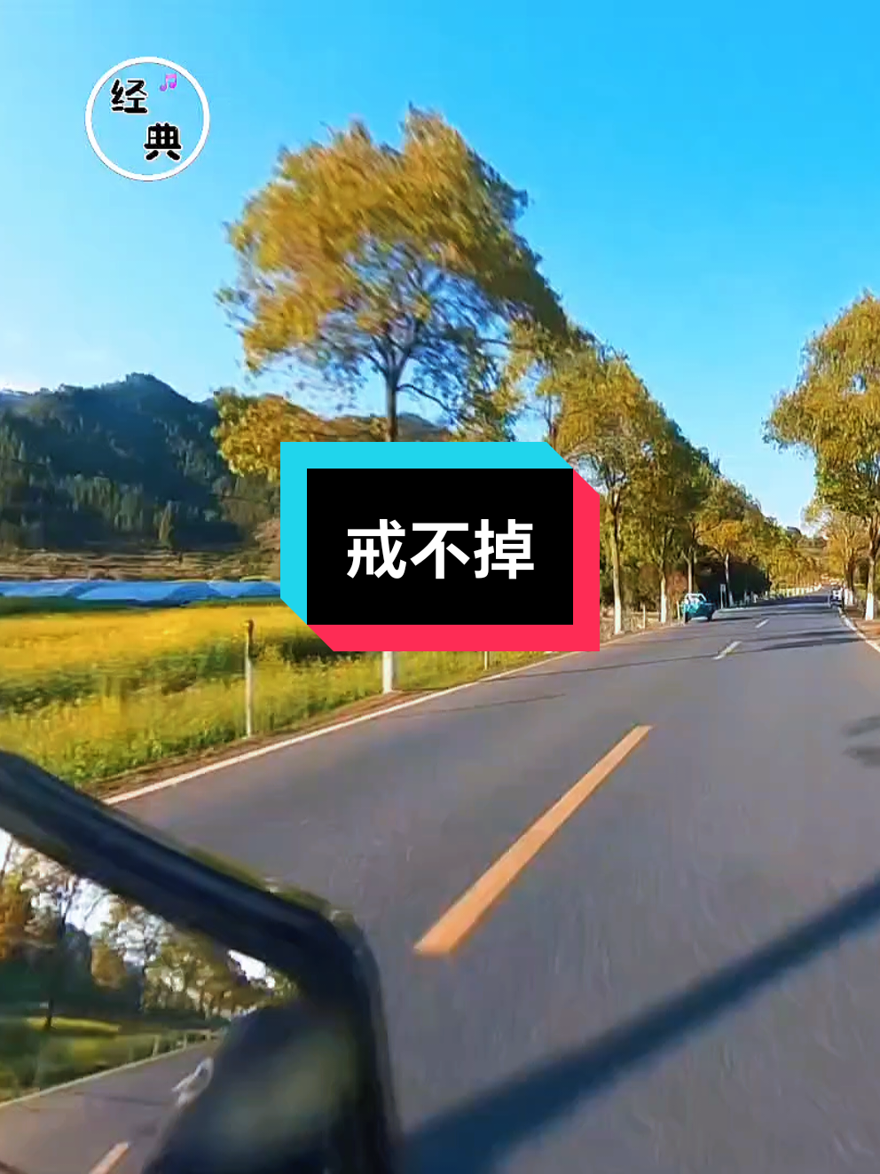 离不开的是我 放不下的是你 #戒不掉 #喜欢的点个赞 