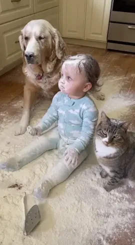 Mission: Make a mess! 👶🐶🐱😂 🎬 100% AI-generated video. Original story created for fun and family entertainment. All scenes are fictional. 🚫 No reuploads. #AIvideo #AIfunny #AIanimals #AIfamily #DigitalArt  