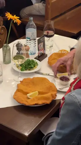 Sun above, schnitzel love ☀️ ♥️ 📍Wollzeile 5, 1010 Wien #figlmüller #wien #schnitzel #restaurant #viennafood 