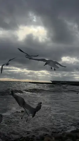 #viral #recommendations #глобальныерекомендации 