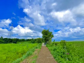 আমার দুঃখ গুলো ফুরাতে ফুরাতে কবে যেন আমি নিজেই ফুরাই যাই....!!😅💔#foryou #foryoupage #vairal #unfrezzmyaccount #foryoupageofficiall 