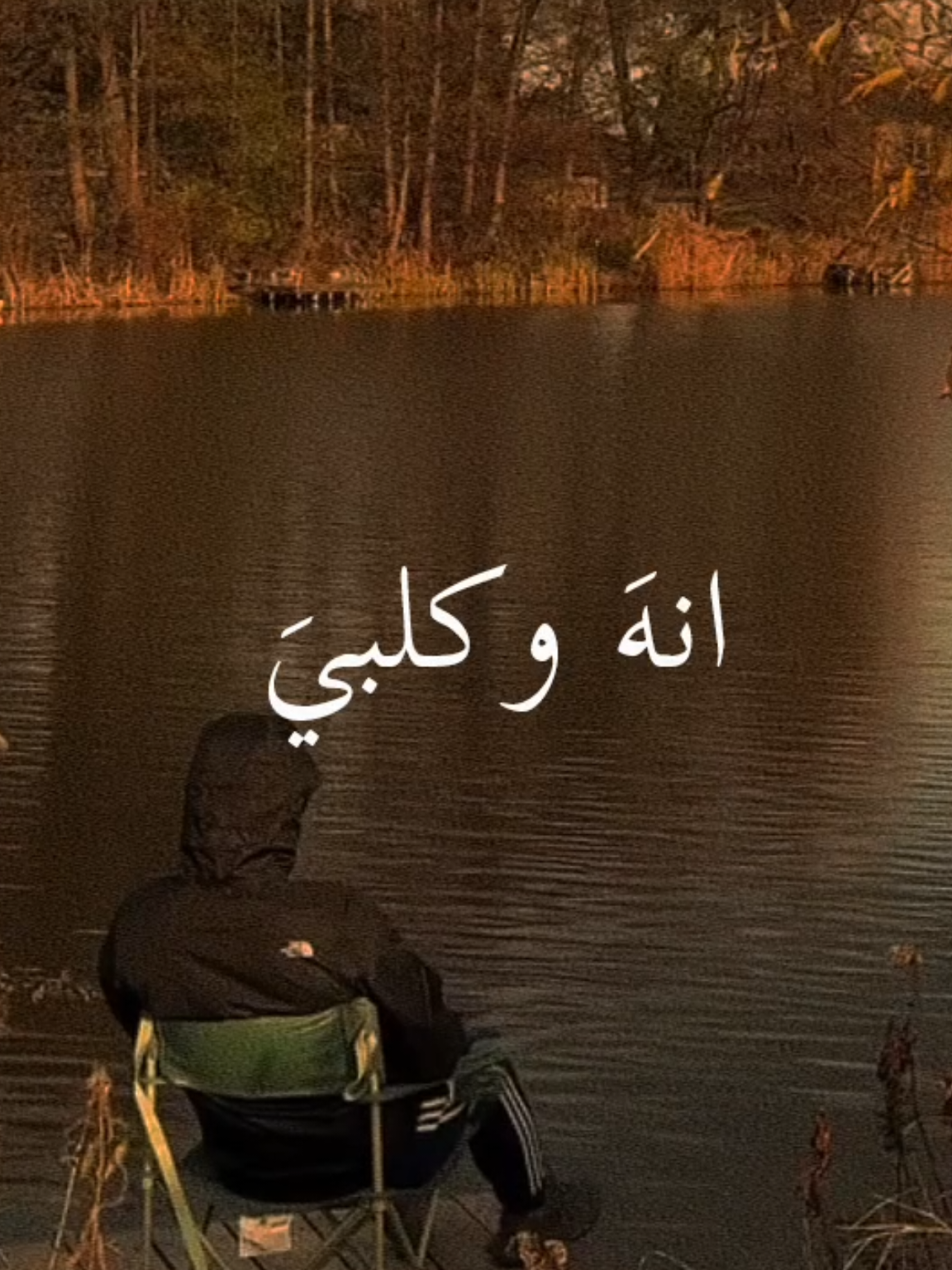 انا وكلبي يتامه شكد بجيناك محمد عبد الجبار المقطع المحذوف #محمد_عبد_الجبار #Sing_Oldies #طربيات_الزمن_الجميل_🎼🎶🎻♥️🌹 #فيديوهاتي_تصاميمي🎶🎬 #هواجيس 