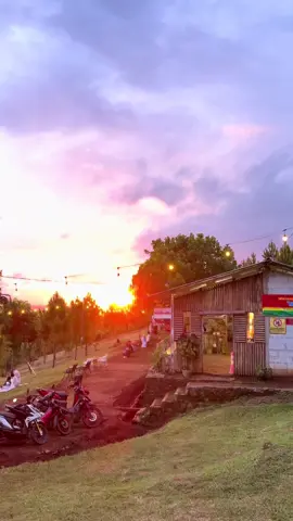 #sunset ✨✨🌲🌲