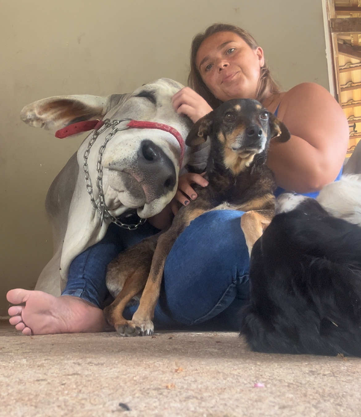 Atendendo a pedidos… 😍 Apresento pra vocês a Jaqueline !🐶🐾 Será que ela se comportou dessa vez? 👀  #churrascooboi #boimanso #boidomestico #fy #amizade