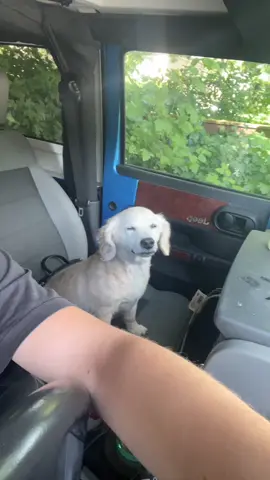 He’s just like “🙂” (ig: oliviaaoverton)