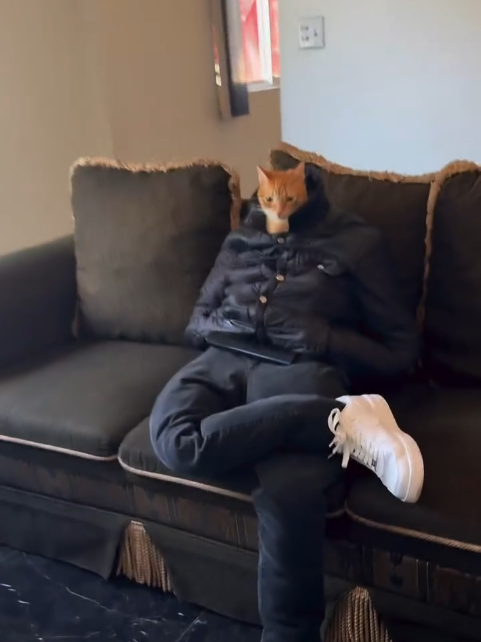 bana laf yapma #şarkı #dans #ritim #müzik #organize 