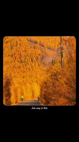 Người nhạy cảm. #anhsangtrithuc#truyencamhung#chualanh 