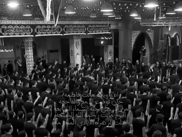 #لبيك ياحسين لبيك ياحسين لبيكي يازينب قصائد للحاج باسم الكربلائي  #متابعيني_الغالين ❤#الشعب_الصيني_ماله_حل😂😂 #Like #explore 