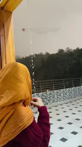 #fyp #daneenqureshi #1m 