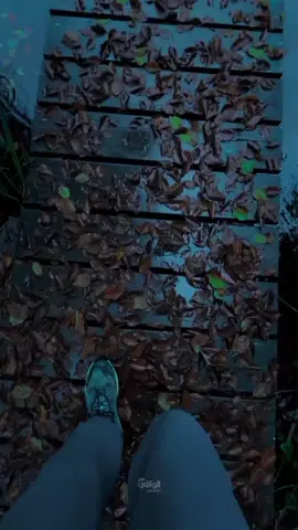 اللهم بالزهراء وابيها#الشيخ_احمد_الوائلي 