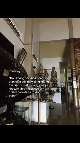 #phatphapnhiemmau #chuakhanhlamdatset #nammoadidaphat #nammobonsuthichcamauniphat 