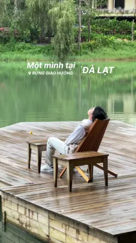 Một mình nhưng chill hết nấc #DaLat #SoloTrip #ChillTrip #dalatvibes #coffee 