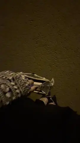 يي حلو الوصاييف😮‍💨!#اكسبلور؟ #viral #typ #تصويري 