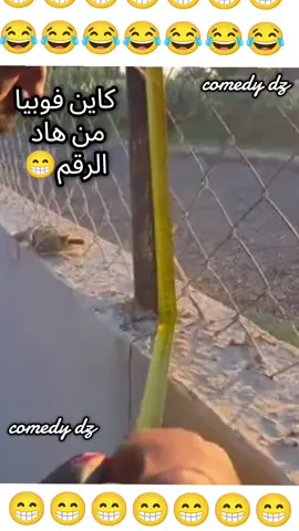 #نكت_مضحكة_تشبع_ضحك_اضحك_من_قلبك_hhhhhh_هههههه😂🤣🎬🎹🎤  #فكاهات_جزائرية_فكاهات_مغربية_لحظات_فكاهية_مضحكة_كوميدي_ديزاد_comedy_dz  #موسيقى_روعه_أغاني_الراي_الراي_القديم_الراي_الجديد 
