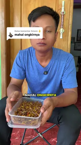 Membalas @Amore 🫰 “Renyah, gurih, pedasnya nampol! 🔥 Saatnya coba sensasi beda dari belalang goreng crispy ini 😋 #BelalangCrispy #SnackPedas #CemilanRenyah #KulinerUnik #SnackViral 