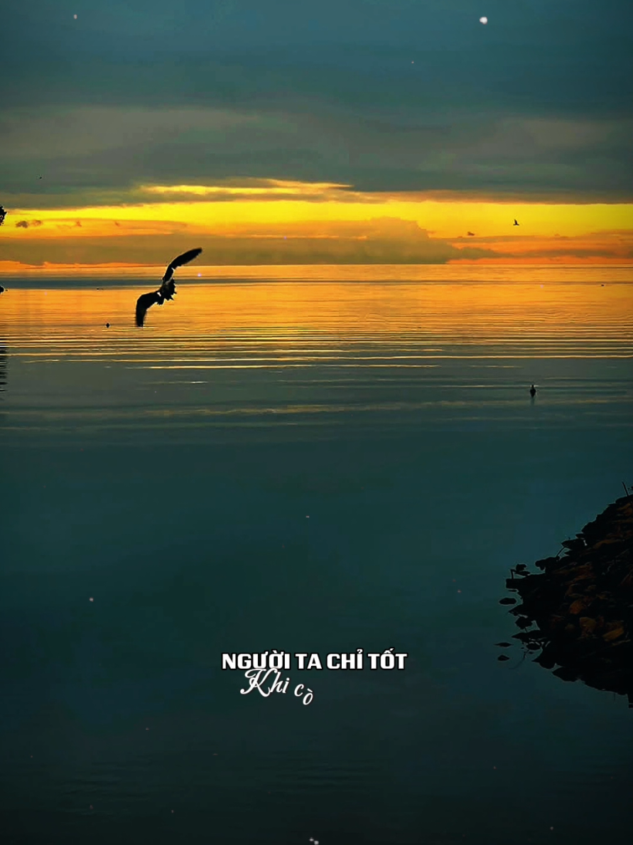 Người ta chỉ tốt khi còn cần ta:#capcut #capcutpioneer #pioneertemplate #trend #tramblues 