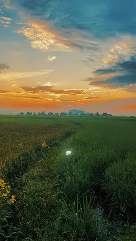 #CapCut Template trend . #radio #hideaway #capcutpioneer #pioneertemplate 