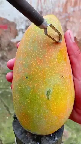 Amazing fruits 😋  #relaxing #satisfying #asmr #fruits #viral 