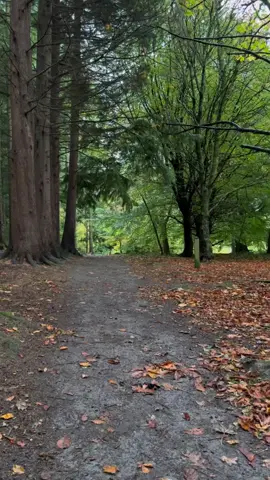 #keşfet #fyp #keşfet #fyp #fyp 