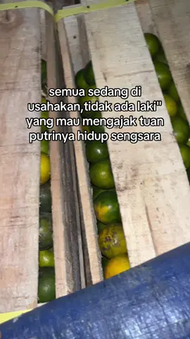 info jam yang ada 🔥🔥