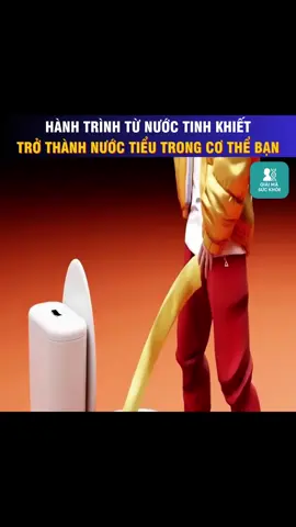 Hành trình từ nước tinh khiết trở thành nước tiểu trong cơ thể bạn #GiảiMãSứcKhỏe #HànhTrìnhCơThể #CơThểConNgười #HệTiếtNiệu #NướcTiểuHìnhThànhNhưThếNào #HiểuCơThểMình #SứcKhỏeThận #ThậnVàNước #SốngKhỏeMỗiNgày #GiảiMãKhoaHọc #BodyInside #HealthyVietnam #TheHealthLab #KhoaHọcVui #HealthEducation