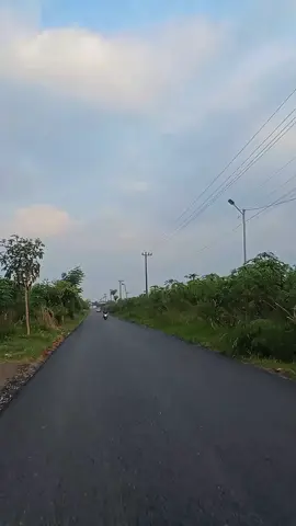 jan sess dalane ws kinyis