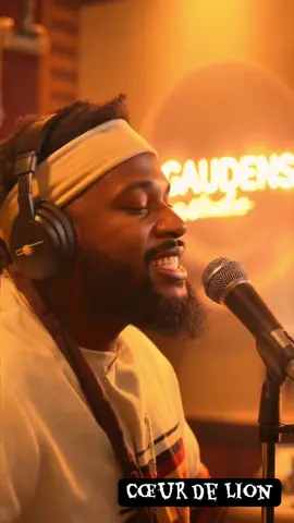 Cœur de lion 🦁  #francaise🇨🇵 #lyrics_songs #canada_life🇨🇦 #art #music 