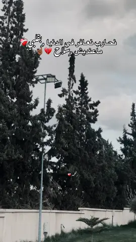 نحارب نعافر في الدنيا بقلبي ماعنديش سلاح 💔#تصميم_فيديوهات🎶🎤🎬 #منتزه_مرح_العائلي_الخمس #fypシ゚ #fffffffffffyyyyyyyyyyypppppppppppp #شعب_الصيني_ماله_حل😂😂 