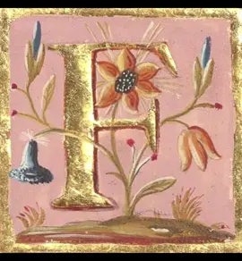 so elegant #initial #f #trend #fyp #me 