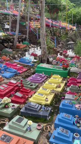 🤍 TRANG VIÊN HOA HỒNG - VĨNH NGỌC - KHÁNH HOÀ 🤍 Nơi chôn cất gần 100 ngàn các bạn nhỏ thai nhi cả bên Công Giáo và Phật Giáo bị các bố mẹ bỏ do lạo phá thai. Xin nguyện cầu cho linh hồn các thiên thần nhỏ bé 🤍🤍🤍 