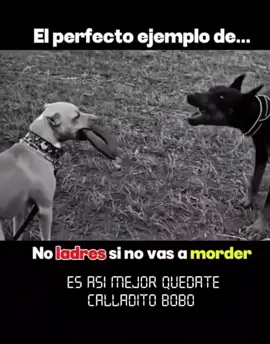 #parati #foryour #panas #pana #motivacion 