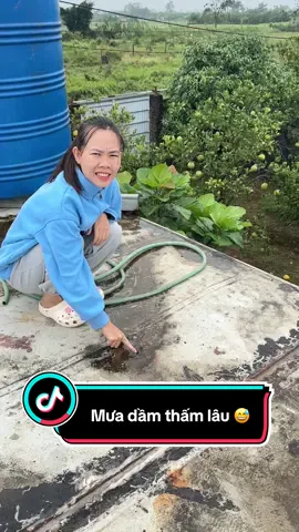 Một bên container cũ quá nên mưa bị ngấm dột mọi người ạ ☺️ (video trc lỗi tiếng nên em đăng lại) #tiktokviral #dieulinh #nhatienche #dailyvlog 